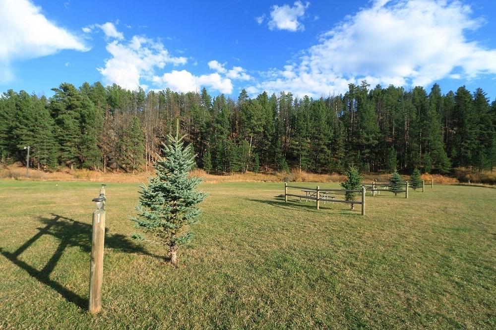 Black Elk Resort Hill City Pokoj fotografie
